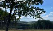 Tocht Stappen Rendeux - Cheoux  - Photo 18