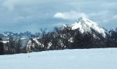 Randonnée Raquettes à neige Le Sappey-en-Chartreuse - Eimendras du dessus en circuit - Photo 6
