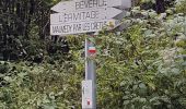 Excursión Senderismo Malmedy - Malmedy (Bévercé - Ferme Libert- Mont - Chôdes) - Photo 12