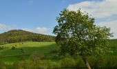 Percorso A piedi Saulzet-le-Froid - Saulzet_Froid_Puy_Montenard - Photo 1