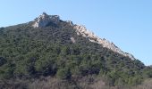 Randonnée Marche Gigondas - Gigondas Dentelles Sarasines Grande Montagne  - Photo 13