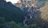 Randonnée Marche Saint-Raphaël - Pk Col de Belle Barbe - Col des Suvières - Suvières - Col des 3 Termes - Photo 1