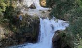 Tour Wandern Carcès - carces - Photo 2