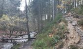 Tocht Stappen Malmedy - malmedy . ferme libert .  tro maret . ferme libert . malmedy par les crêtes  - Photo 11