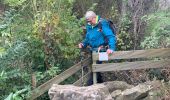 Trail Walking Aywaille - Boucle Aywaille - Photo 7