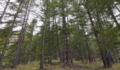 Trail Walking Uvernet-Fours - Cabane de la petite Saume. 27/09/20 - Photo 4