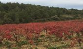 Randonnée Marche Narbonne - La Clape - Trou de la Crouzade - Photo 3