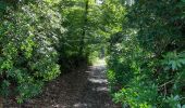 Tocht Stappen Terhulpen - Première promenade d’automne  - Photo 1