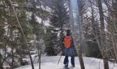 Excursión Raquetas de nieve Abondance - monté lac des plagnes  - Photo 3