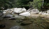 Tour Wandern Pont de Montvert - Sud Mont Lozère - Pont Lozère versant sud : beal de Felgerolles Pont du Tarn  - Photo 1