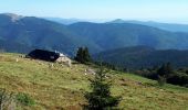 Percorso Marcia Soultz-Haut-Rhin - Grand Ballon - Photo 2