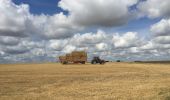 Randonnée Marche Thuin - 68.709 Ragnies -  Leers et Fosteau - Photo 3