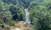 Randonnée Marche Brassac - Tour du Salas variante nord - Photo 1