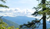 Tour Wandern Büssing - Circuit col de bussang / tête de la Bouloie - Photo 16