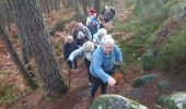 Trail Walking Fontainebleau - vert galant 25 novembre 2022  - Photo 8