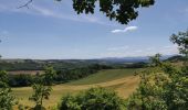 Tour Wandern Anneyron - chanteau Mantaille  - Photo 1