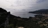 Trail Walking Cassis - Couronne de Charlemagne.  - Photo 8