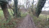 Tocht Te voet Hoei - 01-12-19 13:42:57 - Photo 6