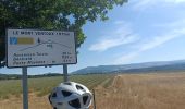 Trail Electric bike Sault - le mont Ventoux  - Photo 13