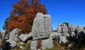 Excursión Senderismo Vence - Col de Vence - Village des Idôles - Puy de Tourettes - Pic des Courmettes - Tourettes sur Loup - Photo 4