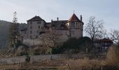 Percorso Marcia Saint-Hippolyte - St Hippolyte - Bergheim - château Reichenberg - Photo 5