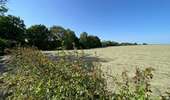Trail Walking Soignies - Thieusies Rando des châteaux et moulins - Photo 10