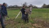 Tocht Stappen Courtonne-les-Deux-Églises - Courtonne les deux Eglises - Photo 10