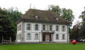 Randonnée A pied Safenwil - Altes Schützenhaus - Rottannen - Photo 2