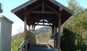 Tocht Te voet Immenstadt im Allgäu - Großer Alpsee Rundwanderweg - Photo 6