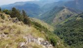 Randonnée Marche Val-d'Aigoual - Mont Aigoual - Cabrillac - Photo 15