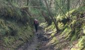 Trail Walking Saint-Michel-en-Grève - GR_34_EF_34_St-Michel-Greve_Plestin-Greves_20250329 - Photo 4