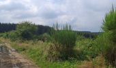 Excursión Senderismo Martelange - Martelange, Radelange, Forêt d’Anlier - Photo 4