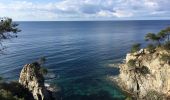 Randonnée Marche Hyères - Sentier du littoral de Giens - Photo 8