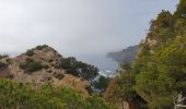 Excursión Senderismo Ensuès-la-Redonne - laRedonne le grand Méjan - Photo 12