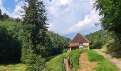 Tocht Stappen Sainte-Croix-aux-Mines - Le Hury par le Petit-Haut - Photo 14