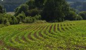 Tour Wandern Theux - 20230616 - Les moniteurs - Theux 5.4 Km - Photo 4