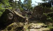 Tour Wandern Altweier - Roche du Tétras - Bilstein - Photo 11