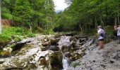 Percorso Marcia Bohinj - Gorges - Photo 12