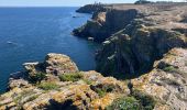 Tocht Trail Groix - Bretagne-18092022-30kms - Photo 10