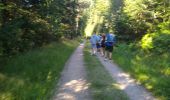 Trail Walking Plancher-les-Mines - tour France 2022 retour planche des belles filles  - Photo 1