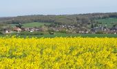 Tour Mountainbike Walcourt - Rando VTT au départ de Tarcienne  - Photo 16