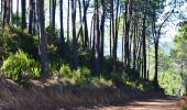 Trail Walking Théoule-sur-Mer - Théoule - Pont Sarrazin - Mont Saint Martin - Sommet Grosses Grues - Col Notre Dame - Photo 2