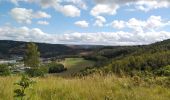 Tour Wandern Chaudfontaine - bois des dames  - Photo 3