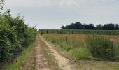 Percorso Marcia Aarschot - S-GR Hageland: Aarschot - Kortrijk-Dutsel - Photo 10