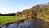 Randonnée Vélo Waimes - Province de Liège tourisme - Le lac de Bütgenbach - Photo 14