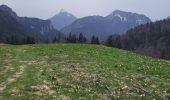 Tocht Stappen Saint-Pierre-de-Chartreuse - chartreuse les haberts - Photo 2