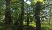 Tour Wandern Valserres - Chapelle Saint Maurice.  - Photo 9