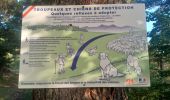 Tour Wandern Beaujeu - LA JAVIE.  COL DE BOUILLARD . CRETES DU BLAYEUL  LED AJUSTATS . COL DE BOUILLARD N   - Photo 3