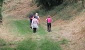 Tour Wandern Verfeil - 2 juillet - Photo 2