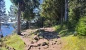 Trail Walking Orbey - lac blanc, gazon du faing, lac noir, rocher Hans, lac blanc  - Photo 9